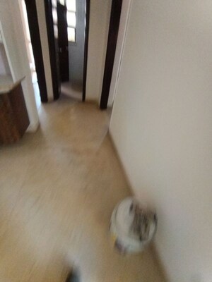 Room in 3 BHK Apartment at Emerald Green, Sector 52 – for Rent
