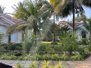 1 BHK Apartment – Garden View at Arpora - for Rent