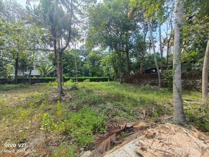 Plot Area in  Plot at Ulloor – for Sale