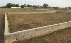 Plot For Sale in Sector 52