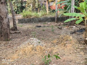 Plot Area in  Plot at Kuravankonam – for Sale