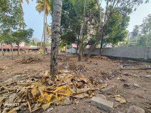 Plot Area in  Plot at Kuravankonam – for Sale