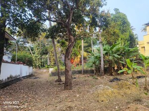  Plot For Sale in Kuravankonam