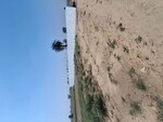 100 Sq.Yd. Plot in Sector 102