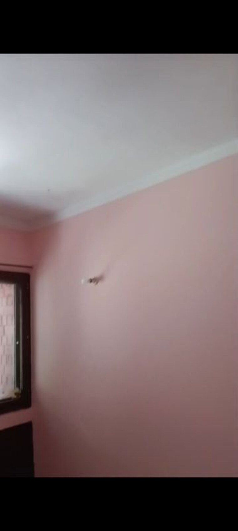 Room, alaknanda 2 Bedroom 300 Sq.Ft. Apartment In Alaknanda Delhi 10360011