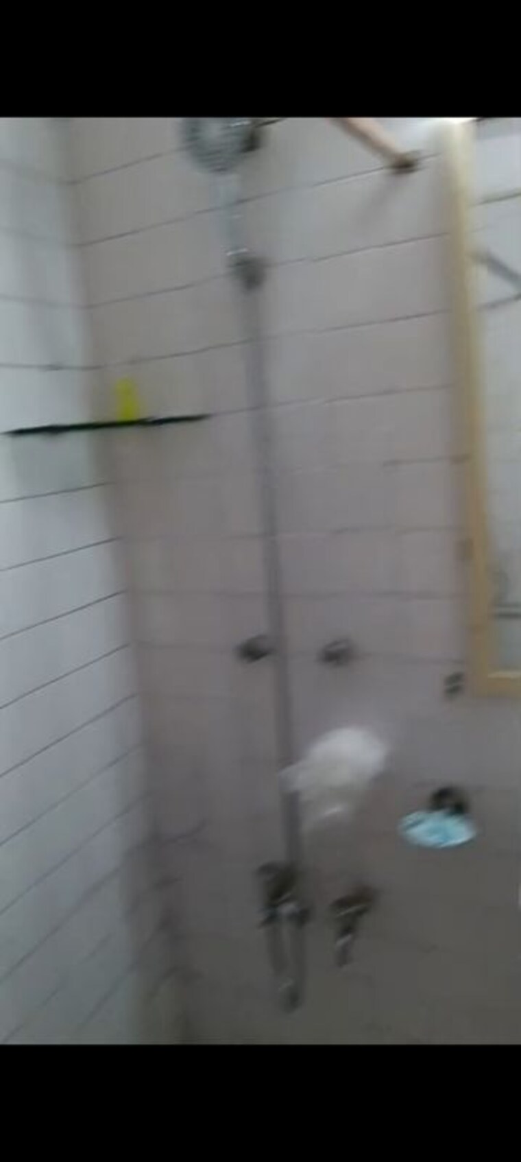 Bathroom, alaknanda 2 Bedroom 300 Sq.Ft. Apartment In Alaknanda Delhi 10360011