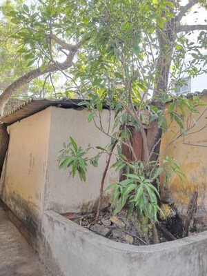   Land at Dakshindari – for Rent
