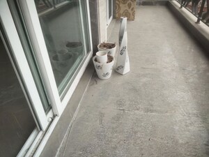 Balcony in 3 BHK Independent House at Sector 46 – for Rent