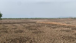 Plot For Sale in Chirner