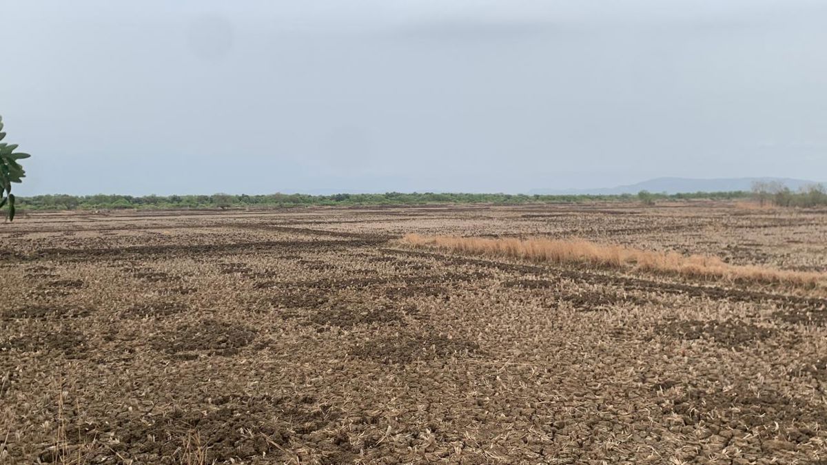 Plot For Sale in Chirner