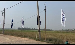  Plot For Sale in Rajpura
