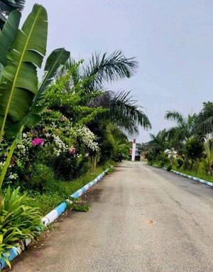 2 BHK Villa – Garden View at High Grounds - for Sale