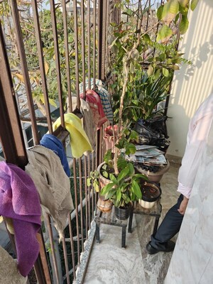 Balcony in 3 BHK Builder Floor at Tagore Park – for Rent