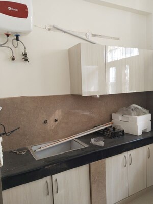 Kitchen in 3 BHK Builder Floor at RWA Apartments Sector 39, Sector 39 – for Rent