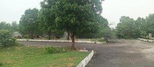 Plot Area in  Plot at Nandiwanaparthy – for Sale