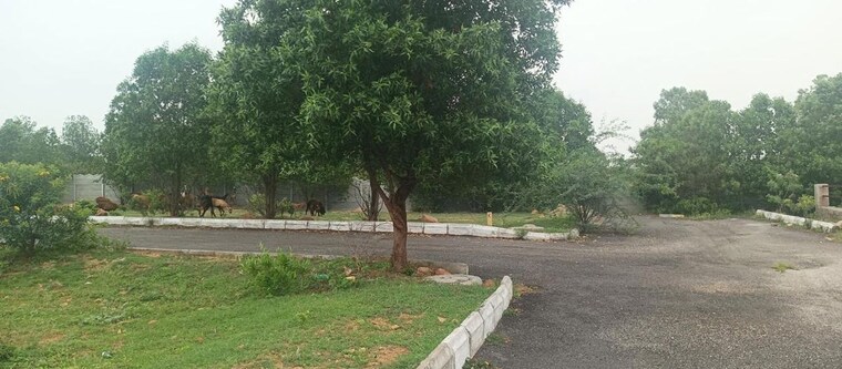 undefined, nandiwanaparthy  147 Sq.Yd. Plot In Nandiwanaparthy Hyderabad 10360829