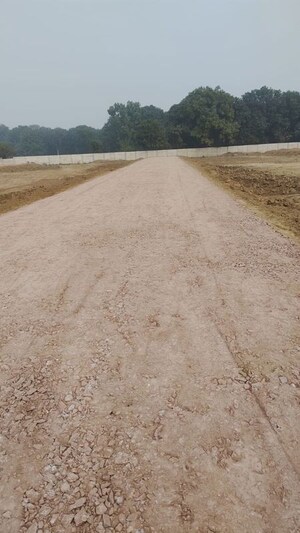 Plot Area in  Plot at Dadri – for Sale