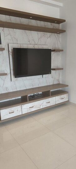 1 BHK Apartment For Rent in Metropolis Aquaris Phase 2