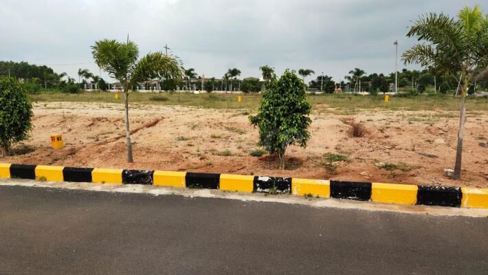 Plot For Sale in Soha Neal City