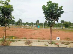 Plot For Sale in Devanahalli