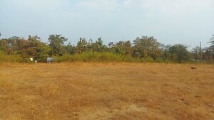  Plot For Sale in Vindhane