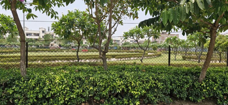 Garden, sector 16 wave city  239 Sq.Yd. Plot In Sector 16 Wave City Ghaziabad 10361527