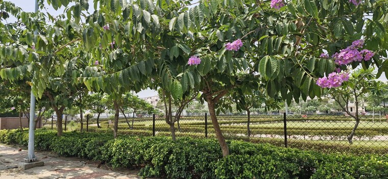 Garden, sector 7 wave city  135 Sq.Yd. Plot In Sector 7 Wave City Ghaziabad 10361706