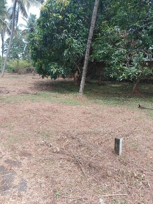  Plot For Sale in Kaiparambu jn
