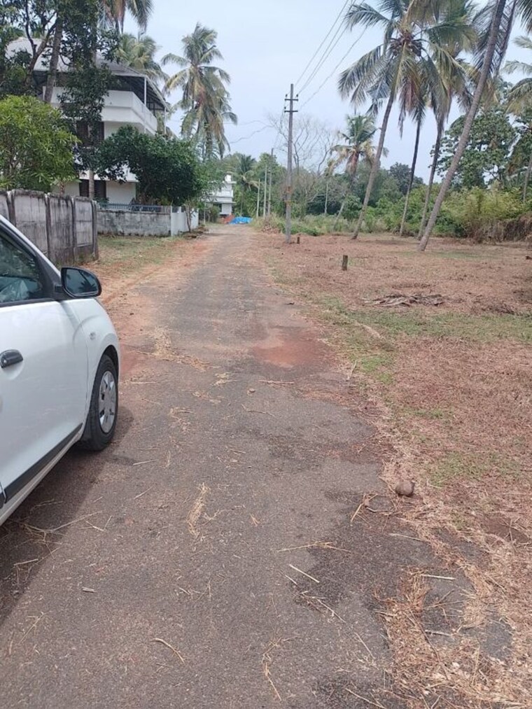 undefined, kaiparambu jn  2178 Sq.Ft. Plot In Kaiparambu jn Thrissur 10358595