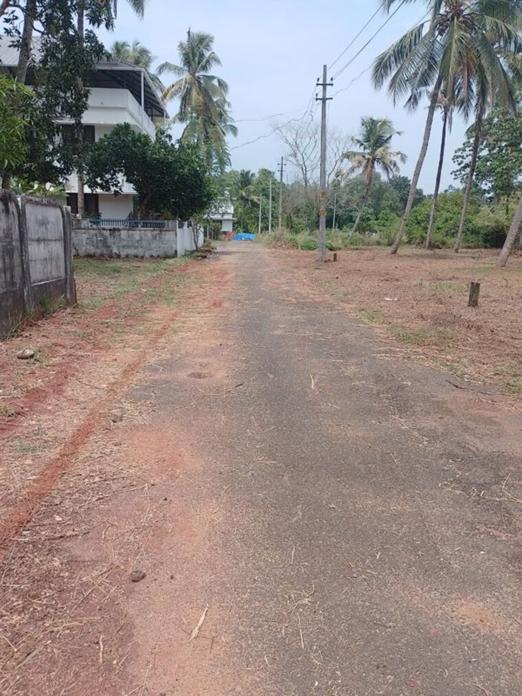 undefined, kaiparambu jn  2178 Sq.Ft. Plot In Kaiparambu jn Thrissur 10358595