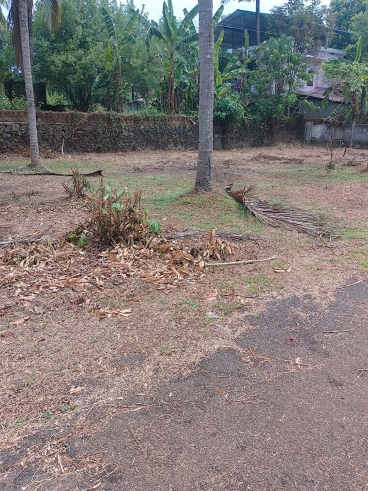 undefined, kaiparambu jn  2178 Sq.Ft. Plot In Kaiparambu jn Thrissur 10358595