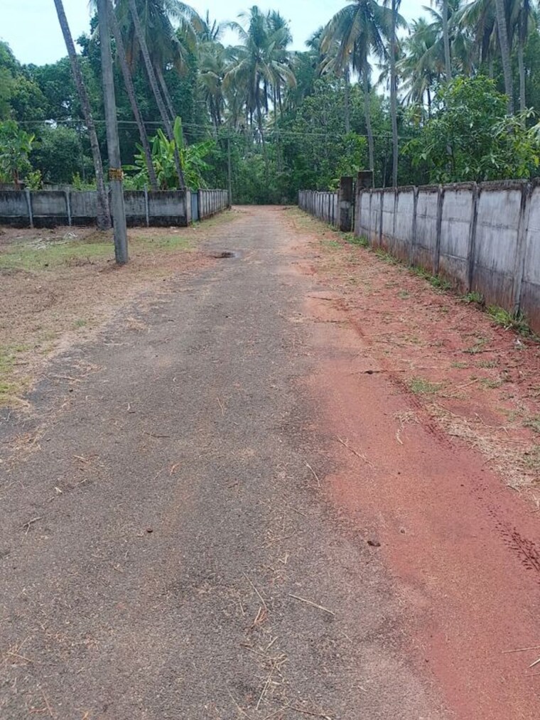 undefined, kaiparambu jn  2178 Sq.Ft. Plot In Kaiparambu jn Thrissur 10358595