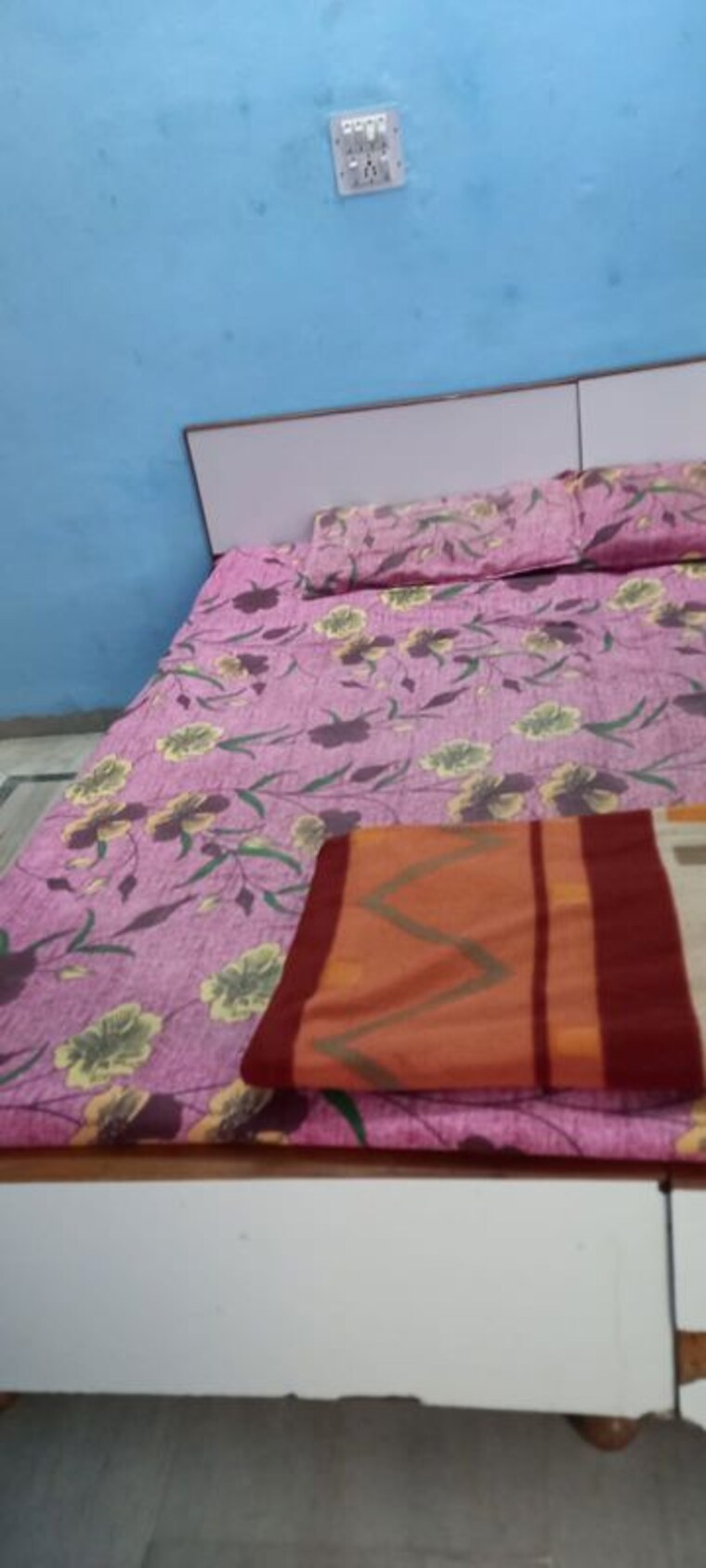 Master Plan, sector 40 1 RK 500 Sq.Ft. Builder Floor In Sector 40 Chandigarh 10362082