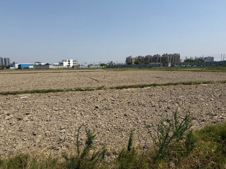 undefined, sector 103  4840 Sq.Yd. Plot In Sector 103 Gurgaon 10362183