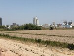 4840 Sq.Yd. Plot in Sector 103