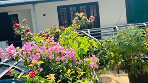 4 BHK Independent House – Garden View at Ramavarmapuram - for Sale
