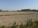 847 Sq.Yd. Plot in Sector 102