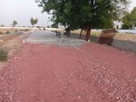 100 Sq.Yd. Plot in Gwalior Road