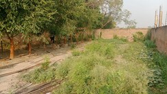 Plot For Sale in Babatpur
