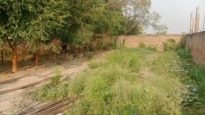  Plot For Sale in Babatpur