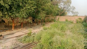 Plot Area in  Plot at Babatpur – for Sale