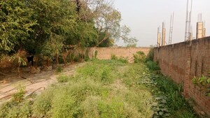 Plot Area in  Plot at Babatpur – for Sale