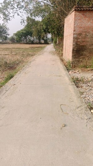 Plot Area in  Plot at Babatpur – for Sale