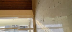 Furnished Amenities in 3 BHK Apartment at Amrapali Ivory Heights, Amrapali Dream Valley – for Rent