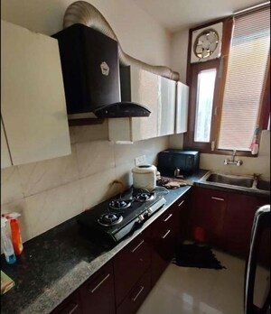Kitchen/pantry in 2 BHK Apartment at NK Sharma Savitry Greens, Lohgarh – for Rent