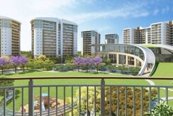 2 BHK Apartment For Rent in Rishita Mulberry Heights