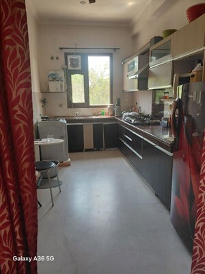 Kitchen in 4 BHK Builder Floor at Sector 15 – for Rent