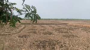 Plot Area in  Land at Jui – for Sale