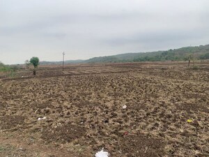  Plot For Sale in Nere
