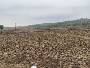 Plot Area in  Land at Koproli – for Sale